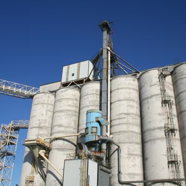 ǩԼ�����ݣ����󽨲ĿƼ���������г�����������������վ��